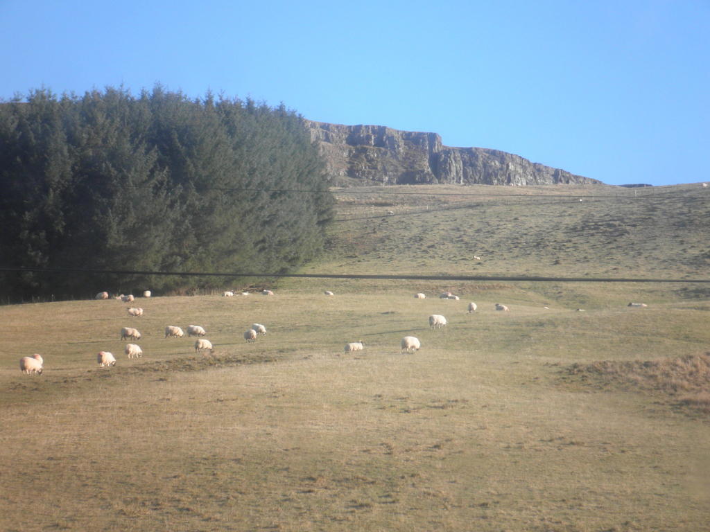Rockfoot B&B Fintry Exteriér fotografie