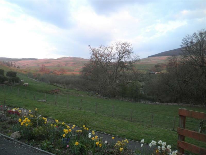 Rockfoot B&B Fintry Exteriér fotografie